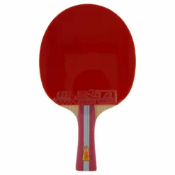 1a+ Table Tennis Racket