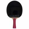 2a+ Table Tennis Racket