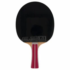 2a+ Table Tennis Racket