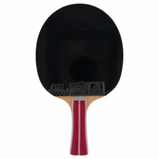 2a+ Table Tennis Racket