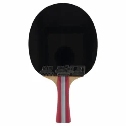 1a+ Table Tennis Racket