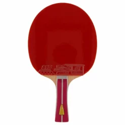 2a+ Table Tennis Racket