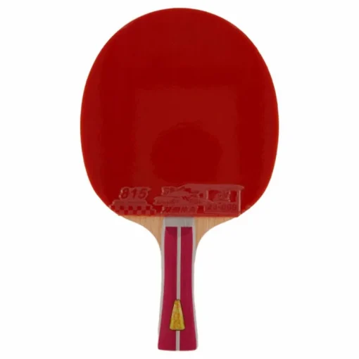 2a+ Table Tennis Racket