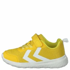 Actus Ml Infant Maize