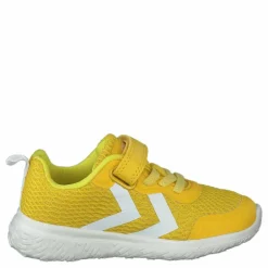 Actus Ml Infant Maize