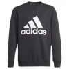 Adidas Boys Essentials Big Logo Sweatshirt Black / White