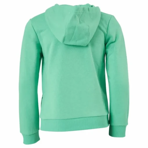 Adidas Boys Essentials Big Logo Hoodie Semi Screaming Green / Black