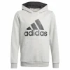 Adidas Essentials Hoodie Medium Grey Heather