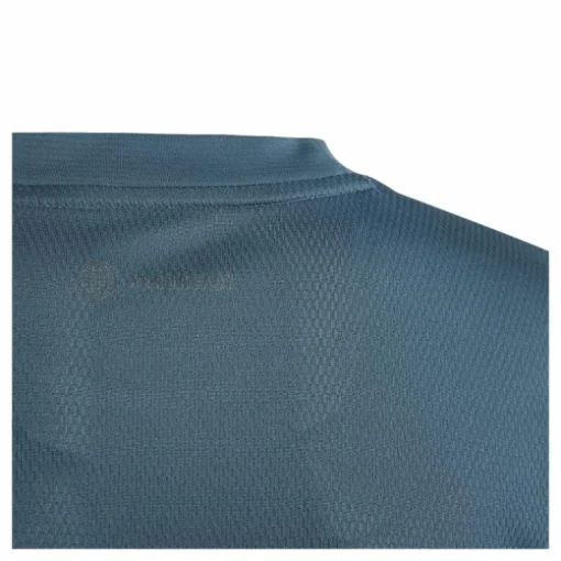 AEROREADY T-Shirt Arcngt/Silvmt