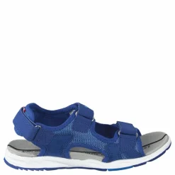 Anchor Dark Blue/blue