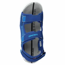 Anchor Dark Blue/blue