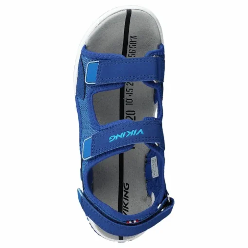 Anchor Dark Blue/blue