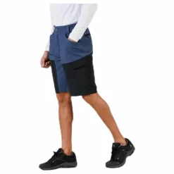 Arizona Shorts Blue