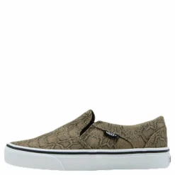 Asher Patterned