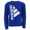 Badge of Sport Logo Crewneck Sweatshirt Selubl