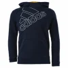 Big Logo HD Junior Blue