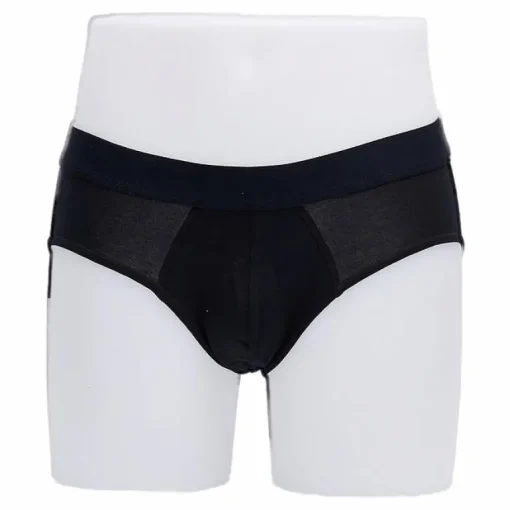 Brief