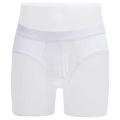 Brief