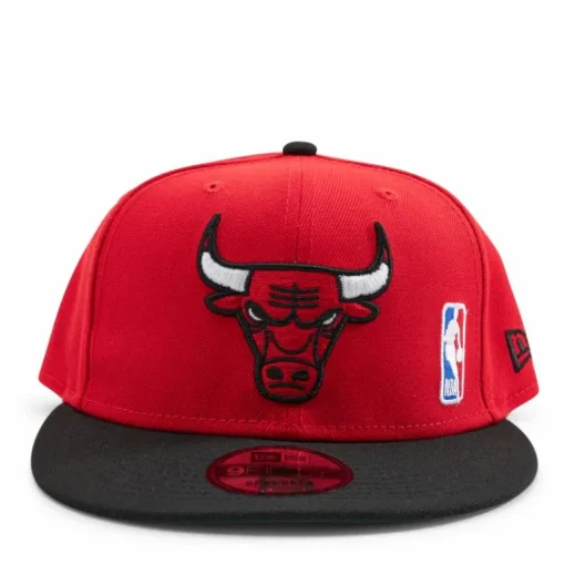 Bulls Team Arch 9FIFTY