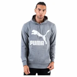 Classics Logo Hoody TR Grey