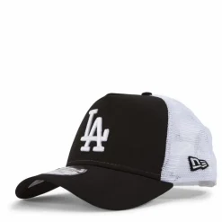 Clean Trucker Los Angeles Dodg