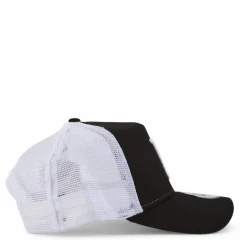 Clean Trucker Los Angeles Dodg