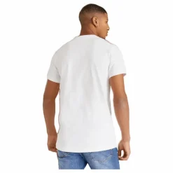Crew-Neck Cotton