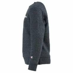 Crewneck Sweatshirt Junior Grey