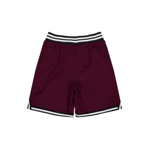 Curry Mesh Short 3 Dark Maroon