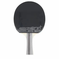 Df-01 Table Tennis Racket
