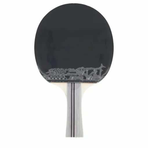 Df-01 Table Tennis Racket