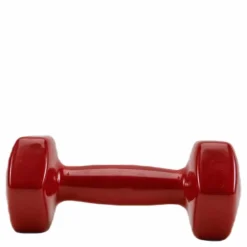 Dumbbell Vinyl 2,7KG/6LBS