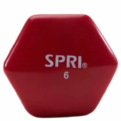 Dumbbell Vinyl 2,7KG/6LBS