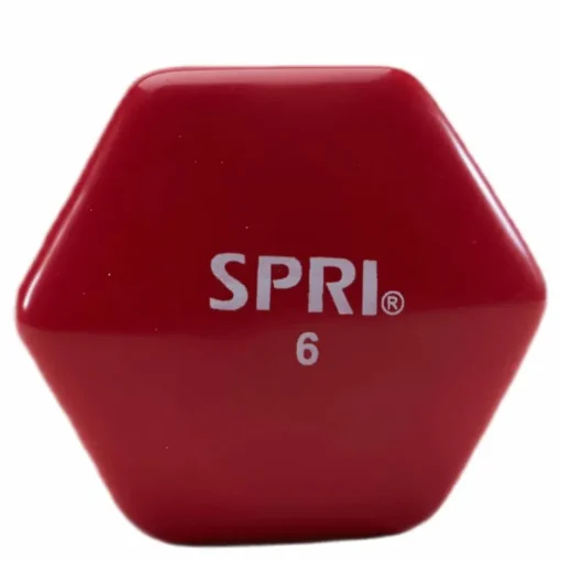 Dumbbell Vinyl 2,7KG/6LBS