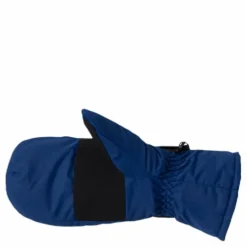 Dundret Mittens Blue