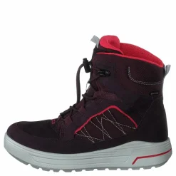 Ecco Urban Snowboarder Fig/teaberry