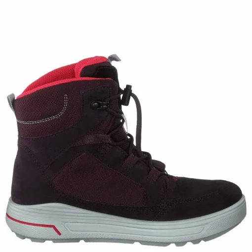 Ecco Urban Snowboarder Fig/teaberry