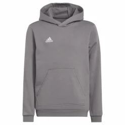 Entrada 22 Sweat Hoodie Tegrfo