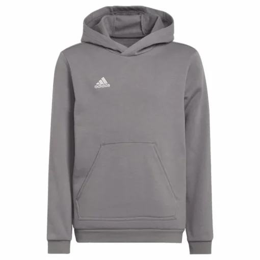 Entrada 22 Sweat Hoodie Tegrfo