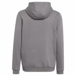 Entrada 22 Sweat Hoodie Tegrfo