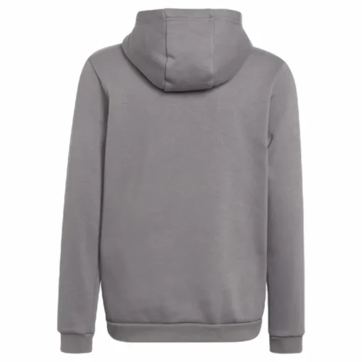 Entrada 22 Sweat Hoodie Tegrfo