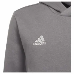 Entrada 22 Sweat Hoodie Tegrfo