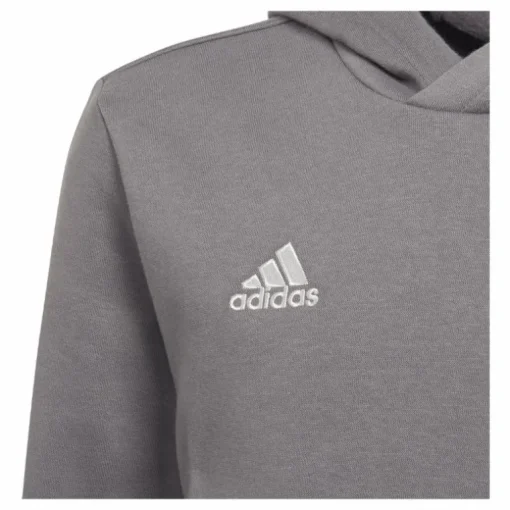 Entrada 22 Sweat Hoodie Tegrfo