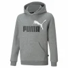 Ess+ 2 Col Big Logo Hoodie Fl Medium Gray Heather