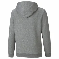 Ess+ 2 Col Big Logo Hoodie Fl Medium Gray Heather