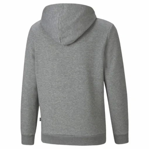 Ess+ 2 Col Big Logo Hoodie Fl Medium Gray Heather