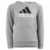 Essentials Two-Colored Big Logo Cotton Hoodie Medium Grey Heather