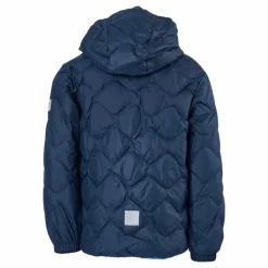 Fossila Navy