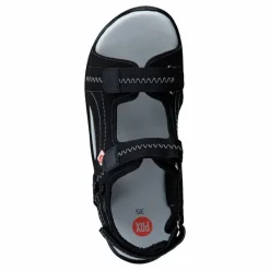 Gadfly Black/Grey 01