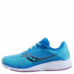 Guide 14 Blue Blaze/berry